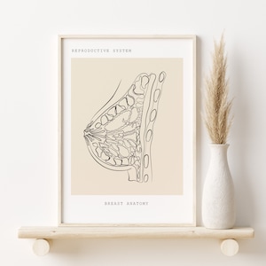 Arte médico de la mama de la anatomía, Arte del embarazo OBGYN, Impresión de la anatomía humana, Lactancia materna, Regalo del ginecólogo, Descarga digital abstracta Anatomía