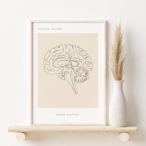 Könnte beinhalten: Eine Schwarz-Weiß-Zeichnung des menschlichen Gehirns mit dem Text "NERVOUS SYSTEM" und "BRAIN ANATOMY" auf beigefarbenem Hintergrund.