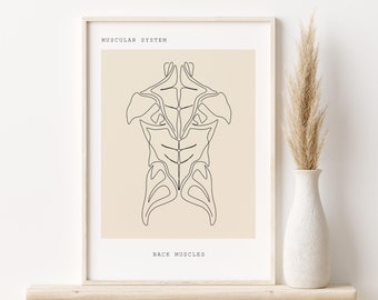 Muscles of the Back, Anatomy Art Print,Human Anatomy Line Art (Digital Download)