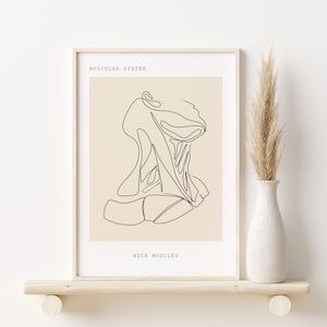 Medical Art, Human Anatomy Art, Wall Decor For Doctor Office, Anatomy Wall Art, Medical Office Decor,Muscles Art Print,Medical Printable