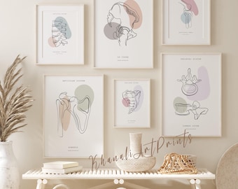 Human Anatomy Art Prints, Medical Art, Orthopedist Wall Art, Chiropractic Poster, Anatomy Poster, Clinic Decor, Printable Anatomy Art Set