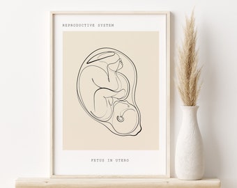 Fetal Anatomy, Pregnancy Anatomy Wall Art, Reproductive Art Print, OBGYN Anatomy Poster, Fertility and Reproductive Print, Gynecology Art