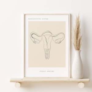 Uterus Anatomy Art, Reproductive System Art Prints, Anatomy Poster, Genitourinary System Anatomy, Female Anatomy, Medical Art,Gynecology Art