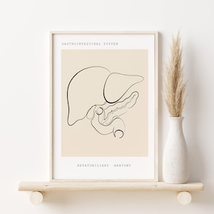 Liver Art, Anatomy Poster, Liver Transplant Gift, Gastrointestinal System Print, Medical Wall Art, , Abstract Printable Anatomy, Doctor Gift