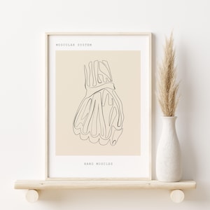 Hand Anatomy Print, Hand Muscles, Anatomy Art,Medical Art, Office Decor,Human Hand Anatomy, Medical Student Gift, Minimalist Anatomy Art