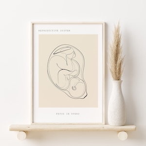 Anatomía fetal, Anatomía del embarazo Arte mural, Impresión de arte reproductivo, Póster de anatomía ginecóloga obstetra, Impresión de fertilidad y reproducción, Arte de ginecología