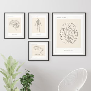 Human Anatomy Art Print, Brain Wall Art, Nervous System Print, Medical Prints, Brain Poster, Anatomy Painting, Neurology, Neuroscience Art