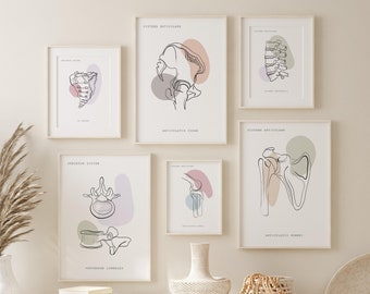 Menselijke anatomie Art Prints, medische kunst, orthopedist kunst aan de muur, chiropractie poster, anatomie poster, kliniek decor, afdrukbare anatomie kunst set