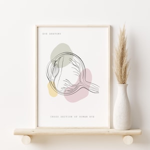 Human Eye Anatomy Art Print, Pastel Anatomy Poster, Medical Art, Eye Poster, Anatomy Painting, Eye Clinic Decor, Minimalist Anatomy Line Art