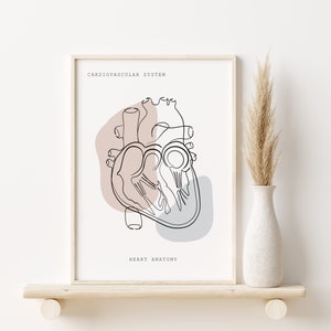 Hart anatomie Art Print, medische kunst, cardiovasculaire anatomie, cardiologie cadeau, anatomische hart poster, anatomie afdrukbare, Doctor Office Art