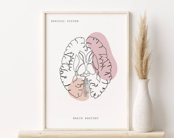 Brain Anatomy Art Print, Medical Poster, Nervous System (Digital Download)