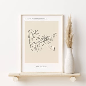 Ear Anatomy, Medical Art, Anatomy Wall Art, Anatomy Prints, Medical Decor, Anatomy Poster, Human Anatomy Instant, Anatomical Art