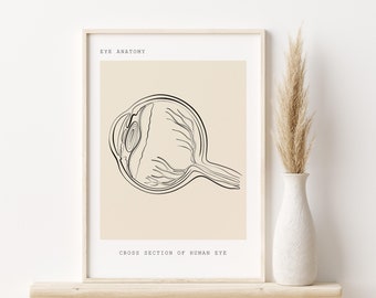 Eye Anatomy Art Print, Optometrist Office Decor (Digital Download)