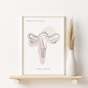 Anatomy Wall Art, Uterus Print, Medical Art, Female Reproductive System Art, Gynecologist Gift, Clinic Decor, Anatomy Poster,Anatomy Instant