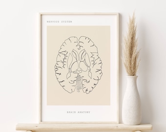 Brain Anatomy Art Print, Minimalist Anatomy Line Art, Medical Art, Nervous System Wall Art, Anatomical Brain Poster, Printable Medicine Art