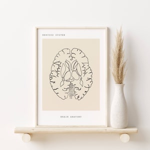 May include: A printable poster with a line drawing of the human brain, labeled "NERVOUS SYSTEM" and "BRAIN ANATOMY".