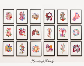 18-delige aquarel anatomie kunstafdrukset, medische galerijmuur (digitale download)