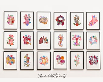 Anatomy Wall Art Set, Medical Poster,  Anatomy Print Set, Medical Art, Anatomy Line Art, Colorful Anatomy, Clinic Decor, Anatomy Printable