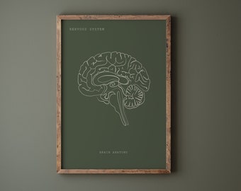 Green Brain Anatomy Line Art Print, Medical Neurology (Digital Download)