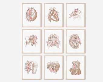 Conjunto de 9 arte de anatomía, arte médico, cartel de anatomía, arte de pared de anatomía floral, decoración clínica, regalo para estudiantes de medicina, obras de arte de anatomía imprimibles