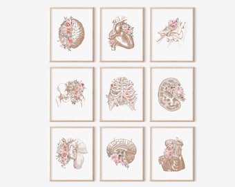 Floral anatomie kunstprint set, medische wanddecoratie (digitale download)