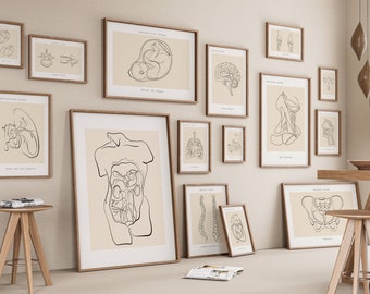 Anatomy Gallery Art Print Set of 15, Medical Wall Art (Digital Download)