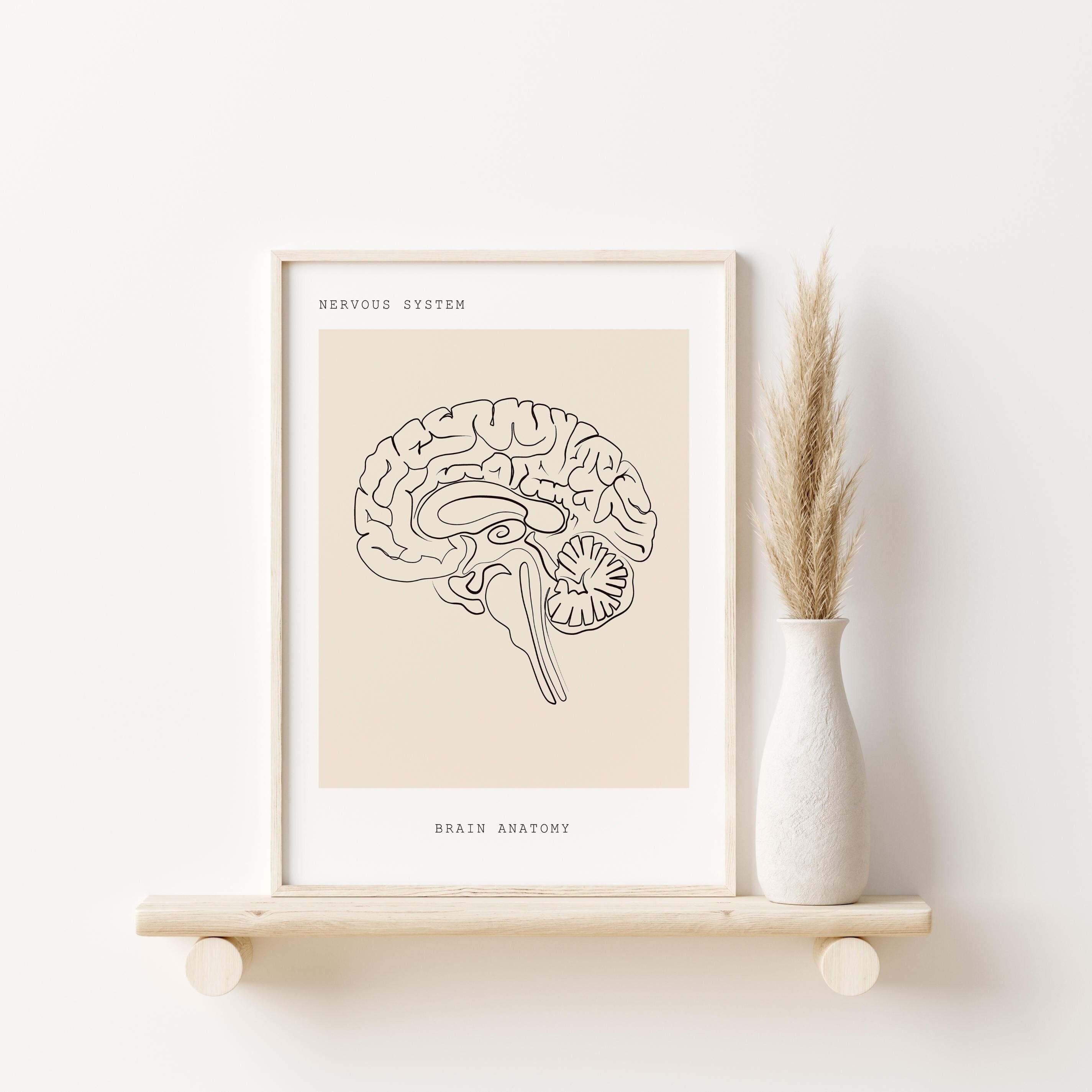 Brain Wall Art, Human Anatomy Print, Medical Art, Brain Anatomy Line Art, Medical Artwork, Clinic Decor, Neurology Art, Anatomical Instant