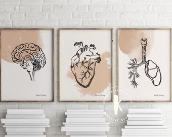 Boho Anatomy Art Set of 3, Minimalist Anatomy Heart Brain Lungs Print( Digital Download)