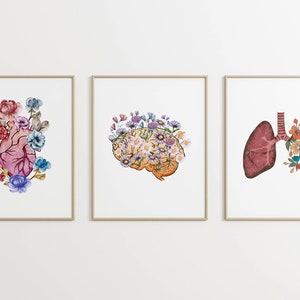 Anatomy Print Set of 3, Anatomy Art, Floral Anatomy Poster, Brain Heart ...