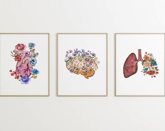 Set de láminas artísticas de anatomía floral, decoración para clínicas médicas (descarga digital)
