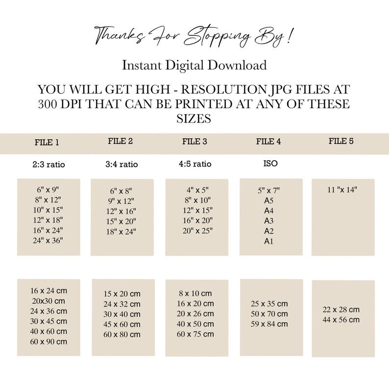 May include: A chart showing different file sizes for digital downloads. The chart lists various sizes in inches and centimeters, including 6x9 inches, 8x12 inches, 10x15 inches, 12x18 inches, 16x24 inches, 24x36 inches, 16x24 cm, 20x30 cm, 24x36 cm, 30x45 cm, 40x60 cm, 60x90 cm, and standard ISO paper sizes.