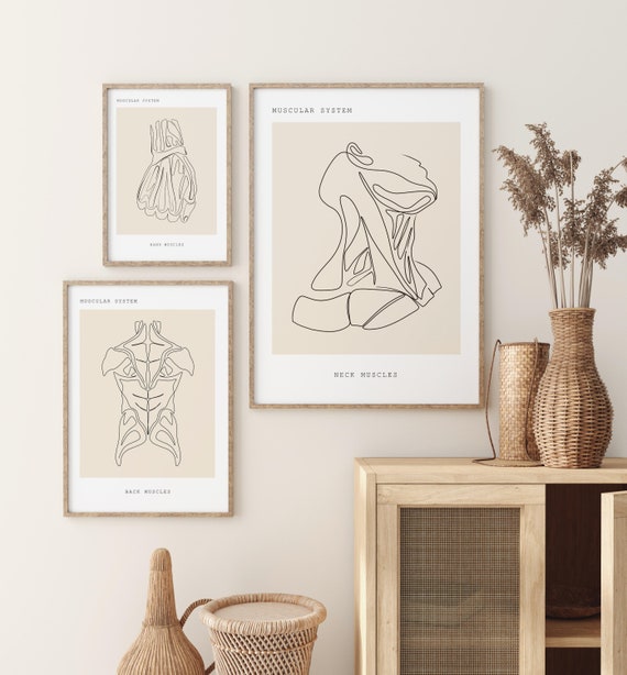 Medical Art Human Anatomy Art Anatomy Print Set of 3anatomy Etsy UK
