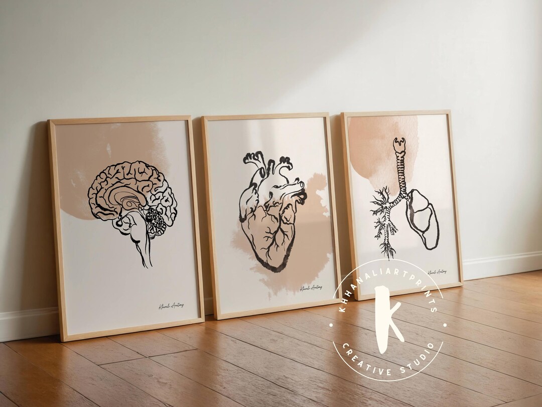 Anatomy Wall Art Set of 3, Anatomical Heart Brain Lungs Print( Digital ...