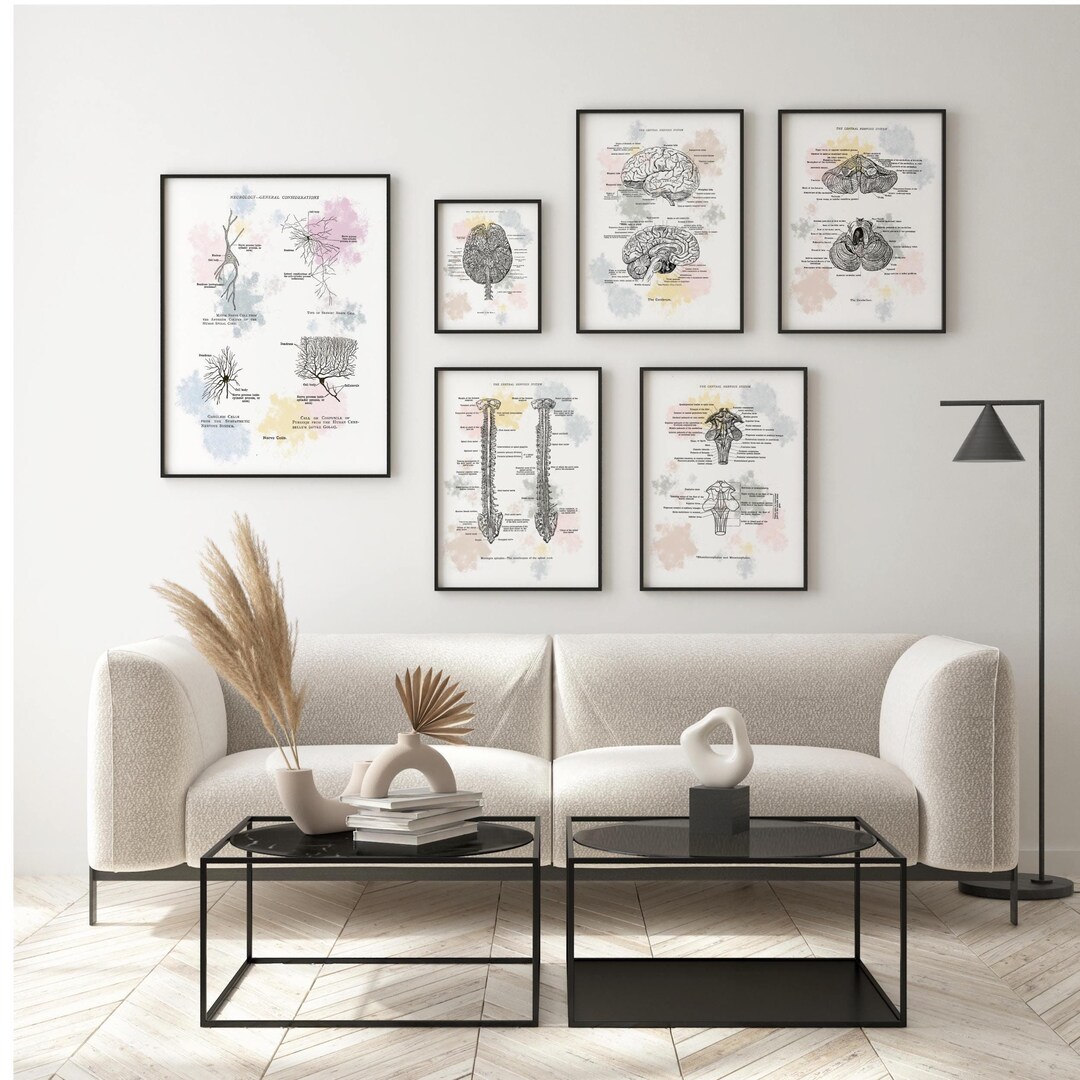 Brain Anatomy Art Print Set, Neurology Clinic Decor (digital Download ...