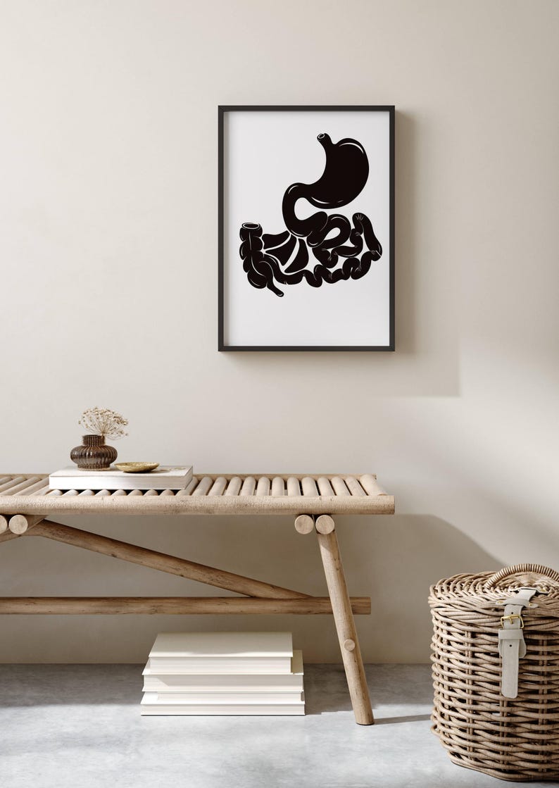 Black and White Digestive System Anatomy Print Set, Medical Student ...
