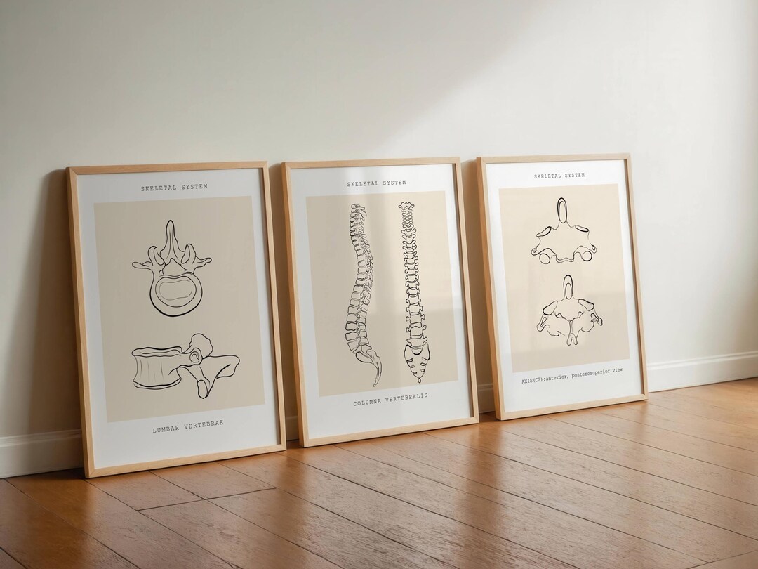 Human Skeleton Anatomy Art Print, Medical Wall Decor (digital Download ...