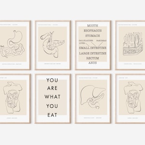 Könnte beinhalten: Satz von acht minimalistischen Line-Art-Drucken, die das menschliche Verdauungssystem zeigen. Die Drucke sind beige mit schwarzen Linien und enthalten anatomische Illustrationen von Magen, Darm, Leber, Gallenblase, Bauchspeicheldrüse und Rektum. Der Text "You are what you eat" ist in einem der Drucke enthalten.