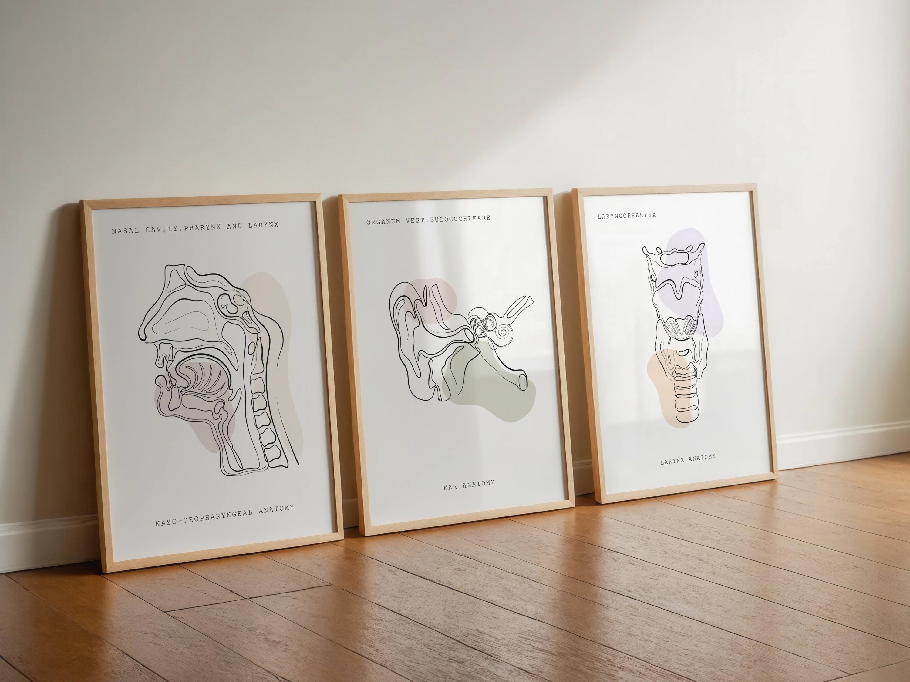 Anatomy Art, ENT Print, Medical Art, Ear Throat Nose Anatomy Pharynx, Larynx,Anatomy Print Set,Clinic Decor,Printable Anatomy,Medical Poster