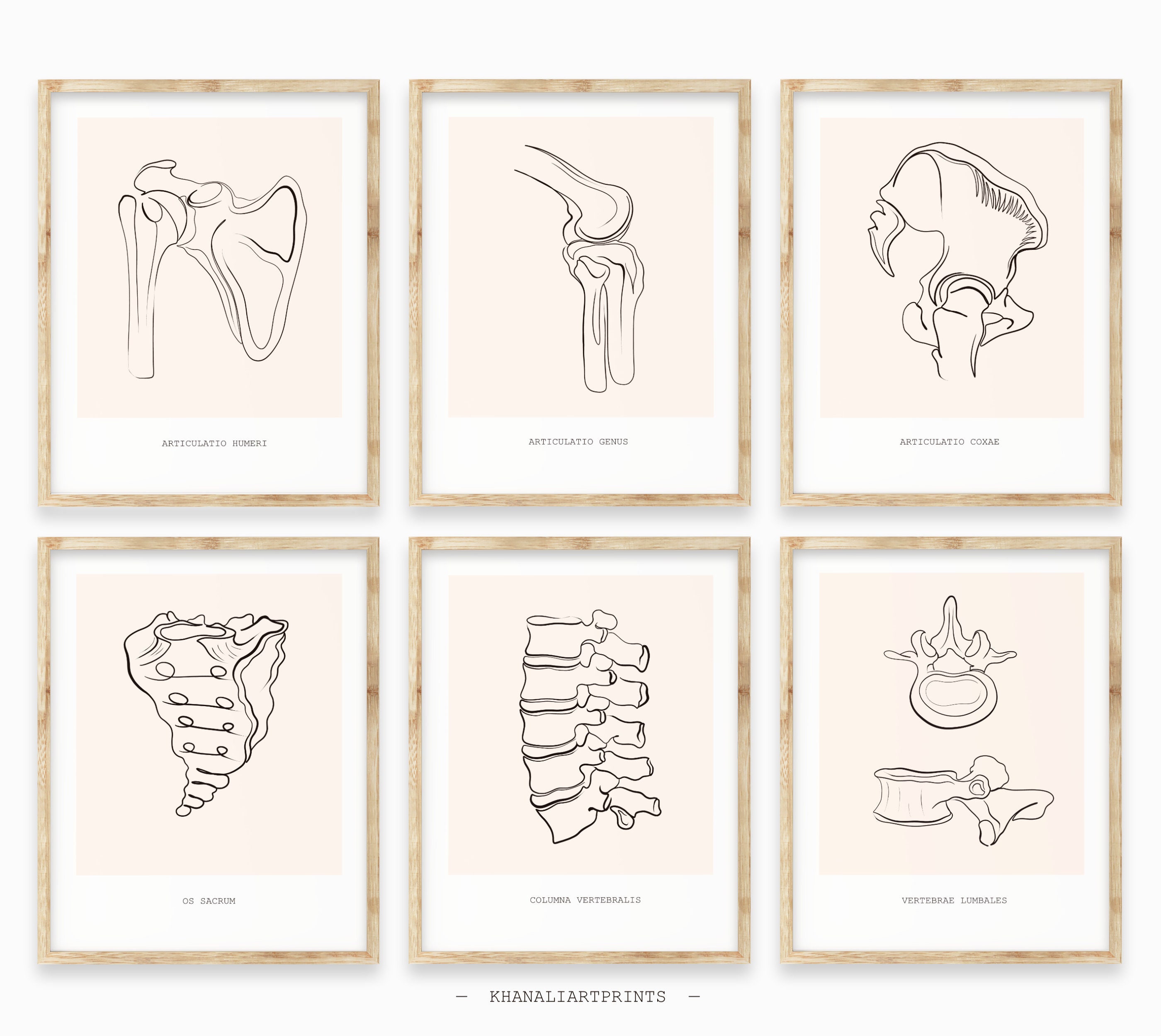 Human Anatomy Art Printsmedical Wall Art Set Anatomy Art | Etsy