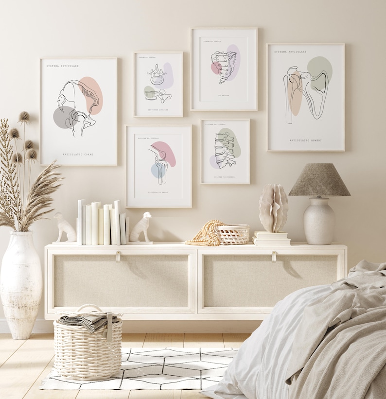 Impresiones de arte de anatomía humana, arte médico, arte de pared ortopédico, cartel de quiropráctica, cartel de anatomía, decoración clínica, conjunto de arte de anatomía imprimible imagen 2