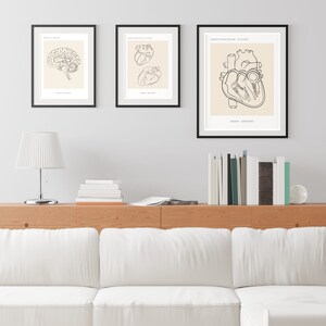 Anatomy Art Set, Human Anatomy Art, Doctors Day Gift,clinic Wall Decor ...