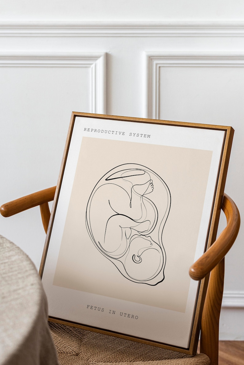 Fetal Anatomy Line Art Print, OBGYN Gift (digital Download) - Etsy