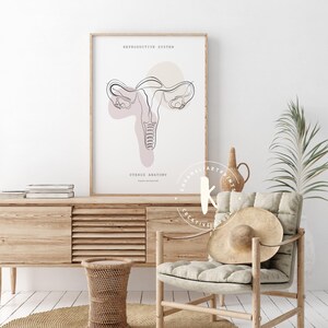 Lámina de anatomía del sistema reproductor, decoración para clínicas de obstetricia y ginecología (descarga digital) imagen 7