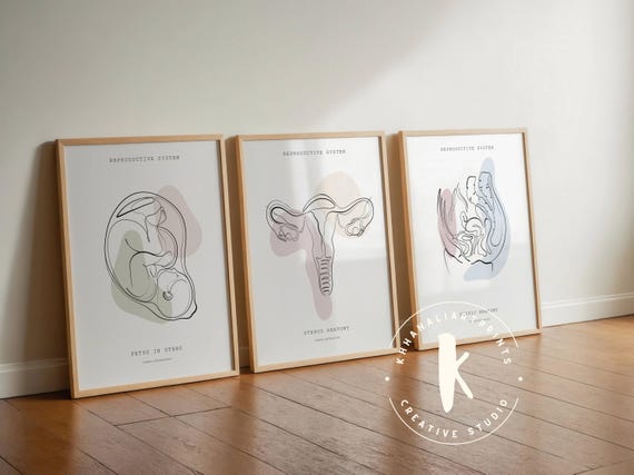Reproductive System Anatomy Print, OB-GYN Clinic Decor (Digital Download)