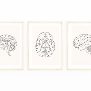 Human Anatomy Art, Brain Wall Art, Neuroscience Art, Digital Brain Art, Anatomy Art, Medical Student Gift, Anatomy Set Of 3, Abstract Brain