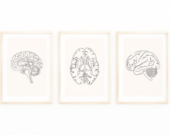 Abstract Brain Anatomy Art Print Set, Neuroscience Decor (Digital Download)