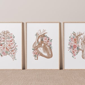 Anatomy Print Set of 3, Anatomical Heart Art, Medical Artwork, Lungs Anatomy, Medical Student Gift, Floral Anatomy Set, Doctor Office Art