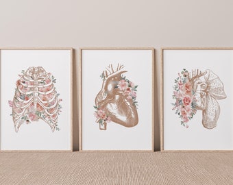 Set de láminas artísticas de anatomía floral, decoración médica (descarga digital)
