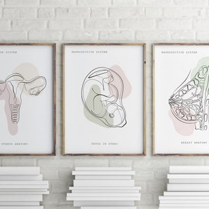 Anatomie van het voortplantingssysteem, decor OBGYN, cadeau gynaecoloog, vrouwelijke medische kunst, baarmoeder kunst, poster foetale anatomie, downloadbare verloskundige kunst