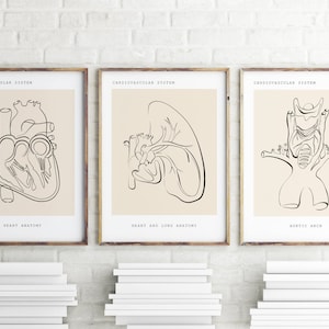 Anatomy Wall Art, Heart Anatomy Print, Cardiovascular System Print ...
